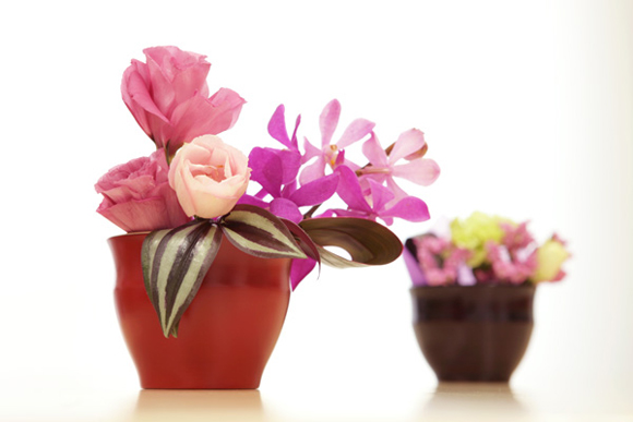 季節の花を活ける